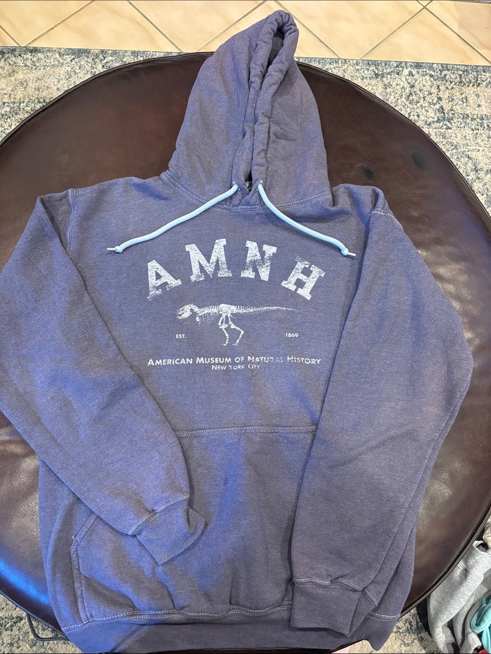 Hoodie- AMNH- American Museum of Natural History- Size Adult Small